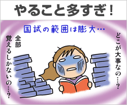 看護国試の範囲が広くどこがポイントかわからない