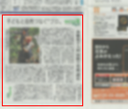 新聞切り抜き